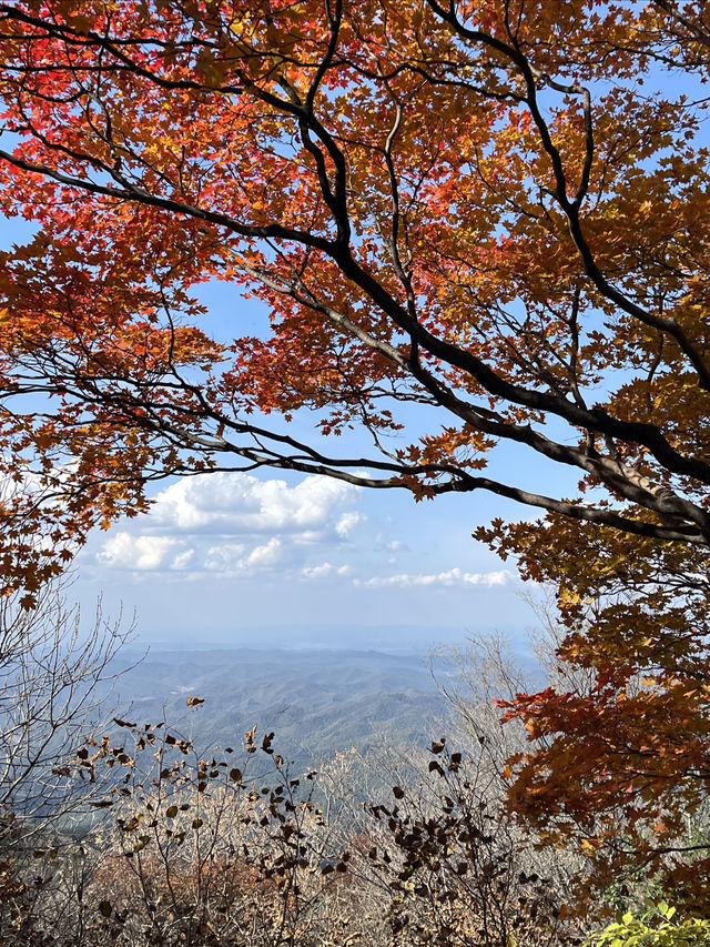 撫順三塊石國家森林公園登山