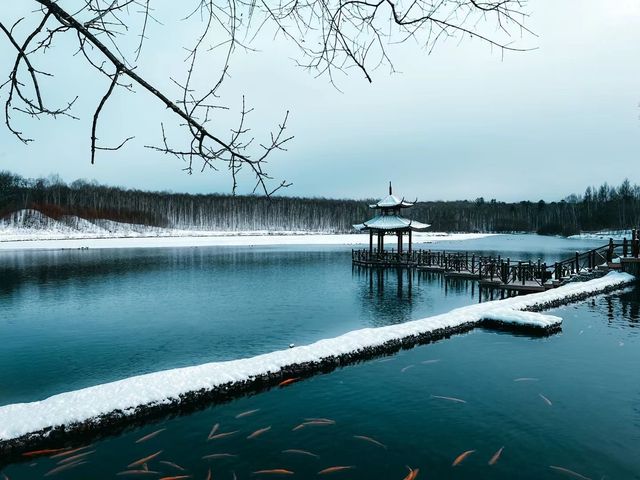 長白山｜農夫山泉礦泉水工廠漂流之旅