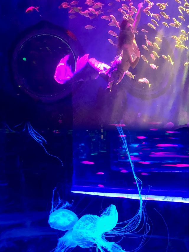 週末遛孩子去哪兒？南京海昌海洋世界探索館