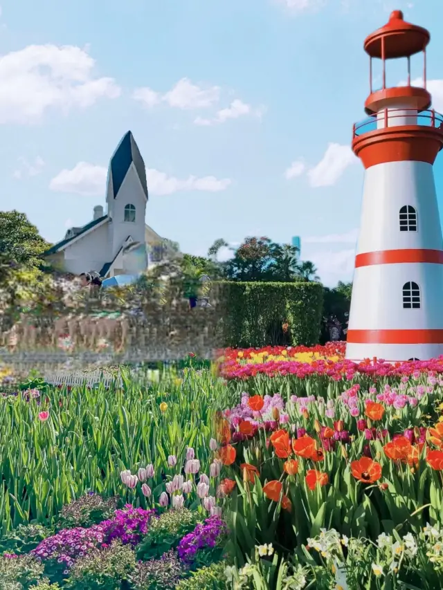 Xiamen Tulip Flower Sea Park during the Spring Festival! It's insanely beautiful!