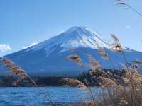 富士山一日遊九人小團