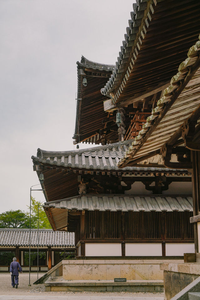 奈良｜除了可愛小鹿，還有世界最古老木建築