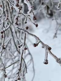 郴州之行，與霧凇雪景共度冬日仙境之旅