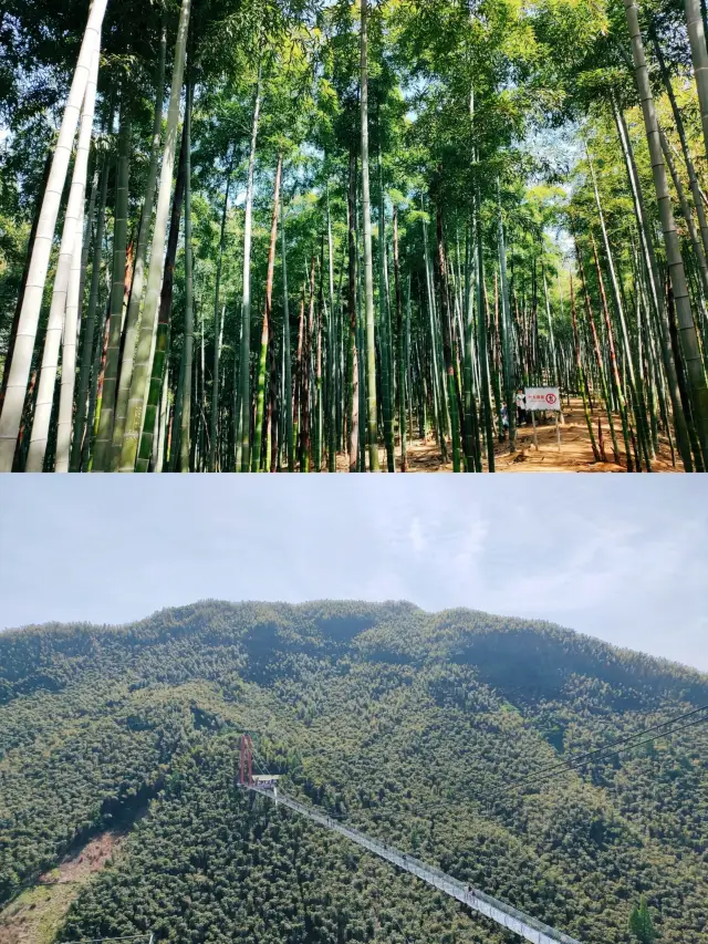 Anji, China's Great Bamboo Sea