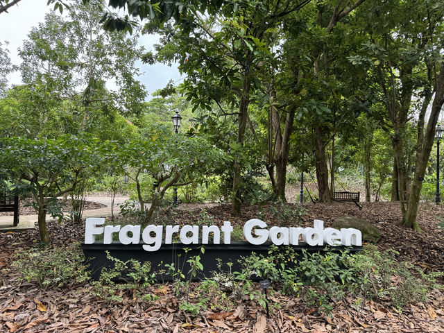 新加坡植物園不完全探索