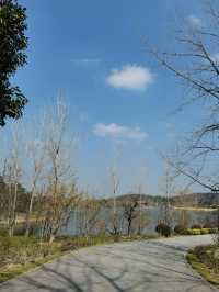 南京空氣好，景色好！銀杏湖如畫春天