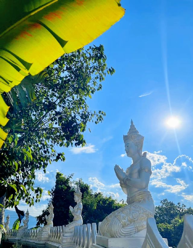 沒有網紅的地方就是好玩，小眾景點西雙版納般若【bōrě】寺