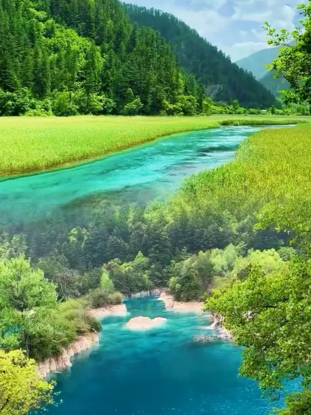 If you have never been to Jiuzhaigou, you wouldn't know how beautiful its summer can be