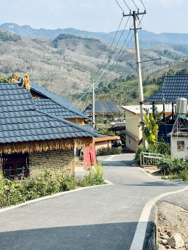 版納本地人用心整理的基諾山小眾玩法，請收好！