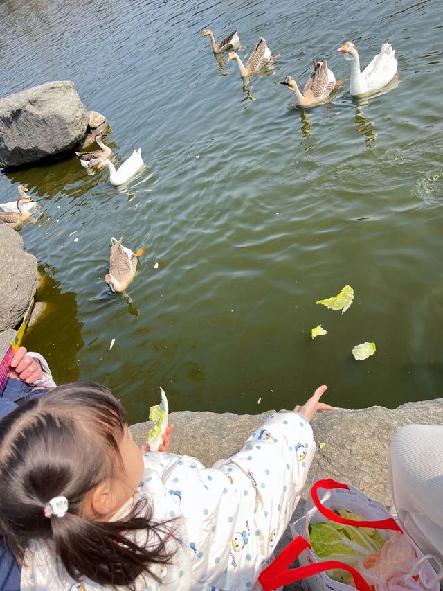 西安秦嶺野生動物園一日遊攻略