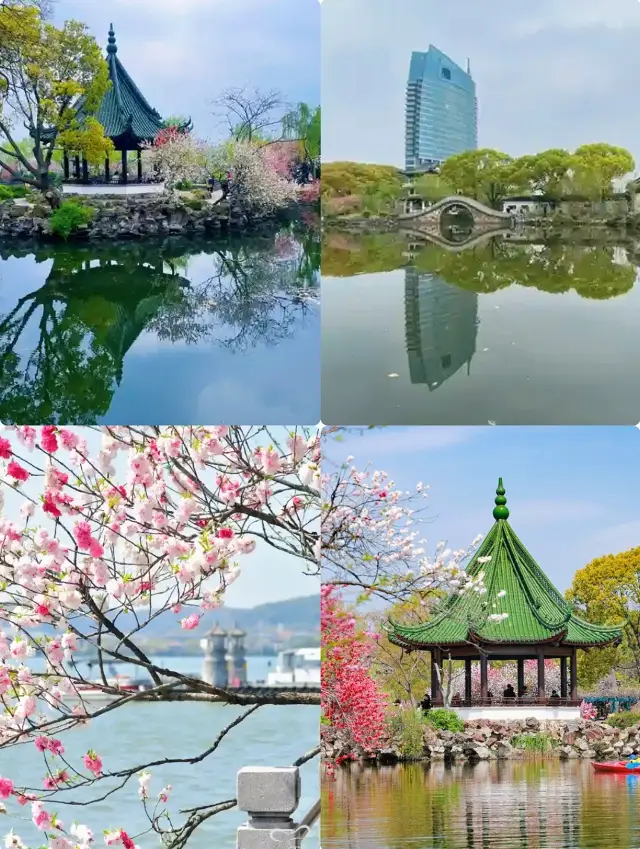 Li Garden in Wuxi | It's the perfect time for spring outings and flower appreciation (with guide)