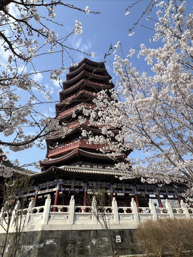 北京雁栖酒店（雁栖島）春之旅攻略