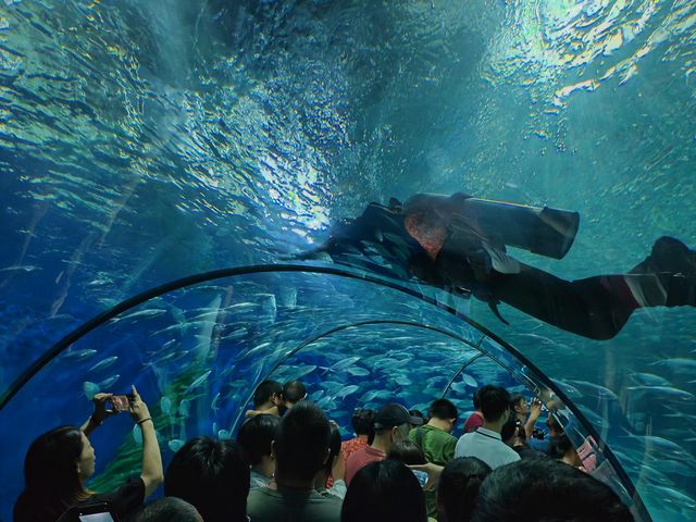 上海海洋水族館