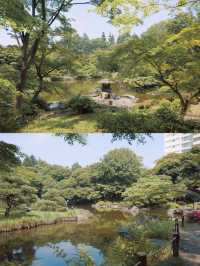 東京 | 夏天就來舊古河庭院，體驗一場古堡下午茶