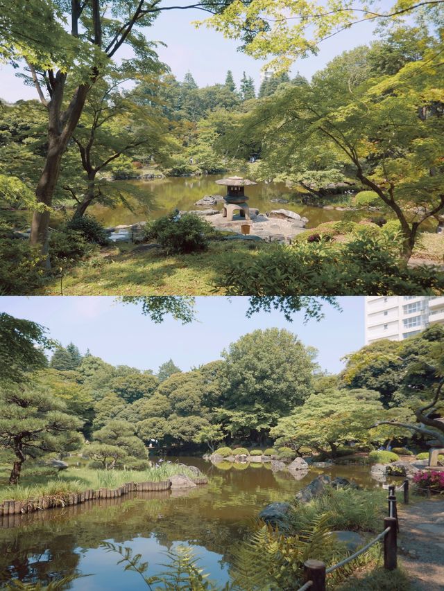 東京 | 夏天就來舊古河庭院，體驗一場古堡下午茶