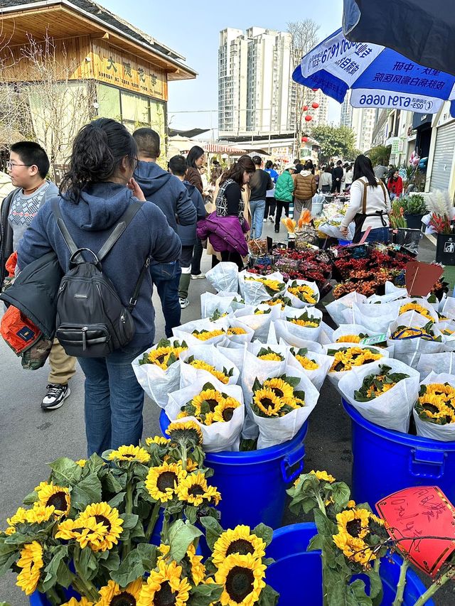 在重慶！真的後悔春節沒有早點去逛啊啊啊！