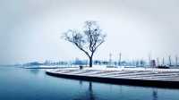 下雪了，來鄭州看“海”吧