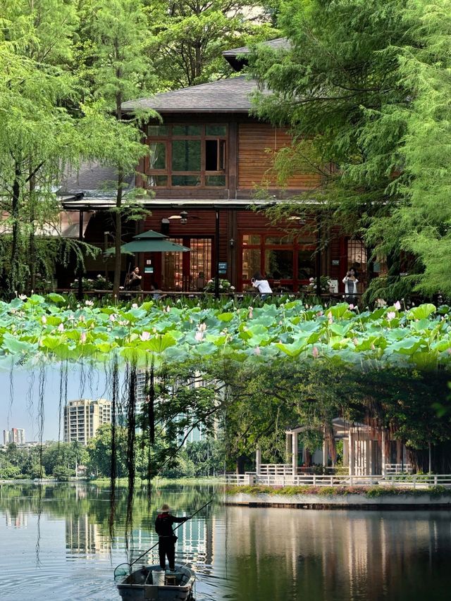 來廣州，總要去一趟流花湖公園