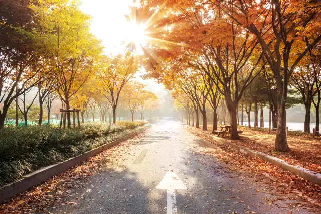 長興島郊野公園賞秋，去尋找秋天的童話