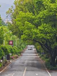 斗岩風景區…春天的氣息