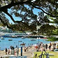 Lovely Manly Beach 