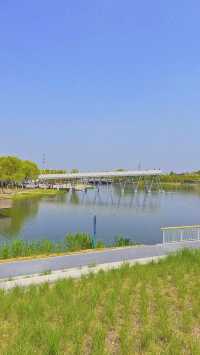 魔都西區的都市森林遠香湖公園