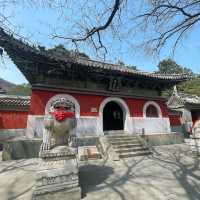 戒台寺｜尋覓心靈的寧靜角落