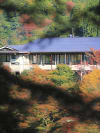 🍁 Kyoto's Autumn Escape: Discover Momijiya Honkan Takaosansou 🏯✨