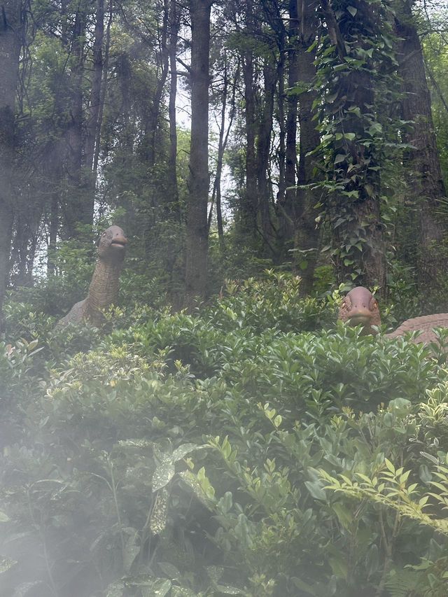 想當飼養員的第n天！！貴州森林野生動物園
