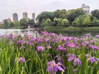 城市公園圖鑑|和平公園