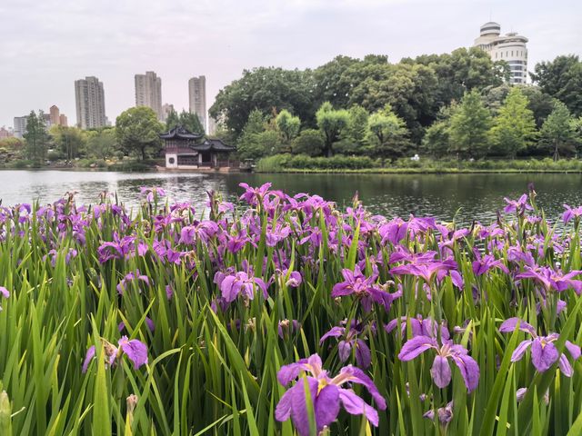 城市公園圖鑑|和平公園