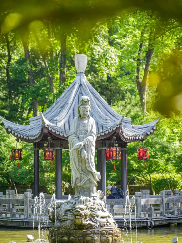秘境栖霞 夏季尋幽｜栖霞山的靜美之旅