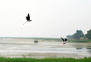헝수이 관광 명소 대공개! 이 보물 같은 곳들을 절대 놓쳐서는 안 됩니다!