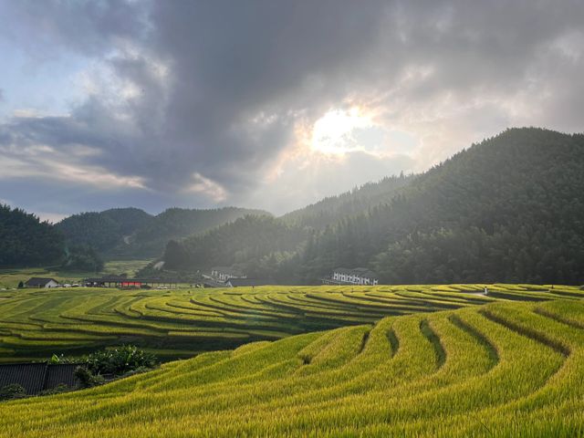 「世界的梯田，客家的梯田」分享上堡梯田之旅