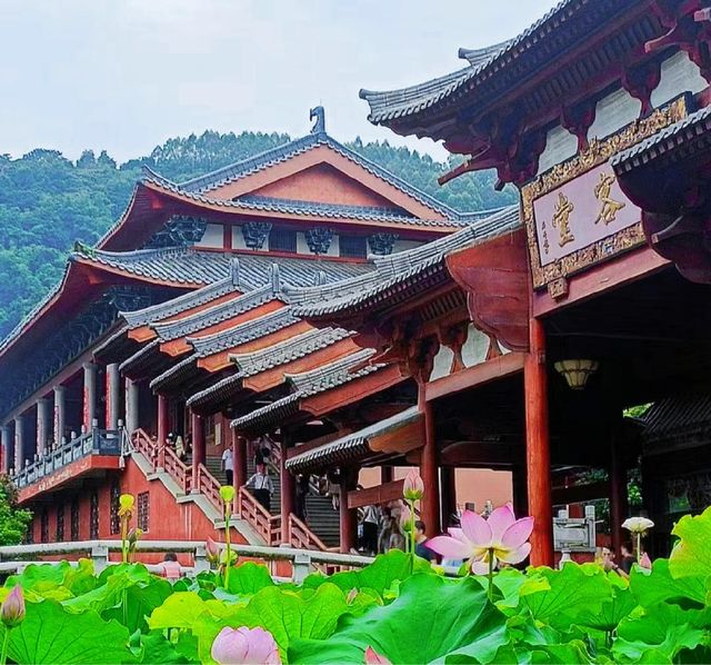 福州萬佛寺！live圖夢回宋朝||