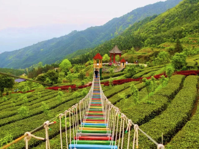 打卡皇后山一感受茶梯田風光。