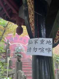 成都仙家重地！見到這隻鶴才算真正去過成都鶴鳴山