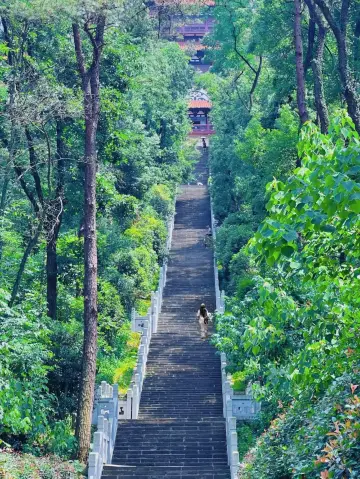 After 99 visits, I've finally written a guide for Donghu Moshan: Hiking + Sightseeing