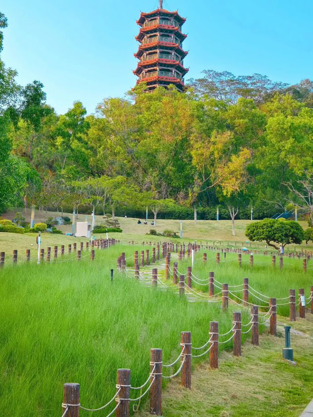 體驗宮崎駿的夏天