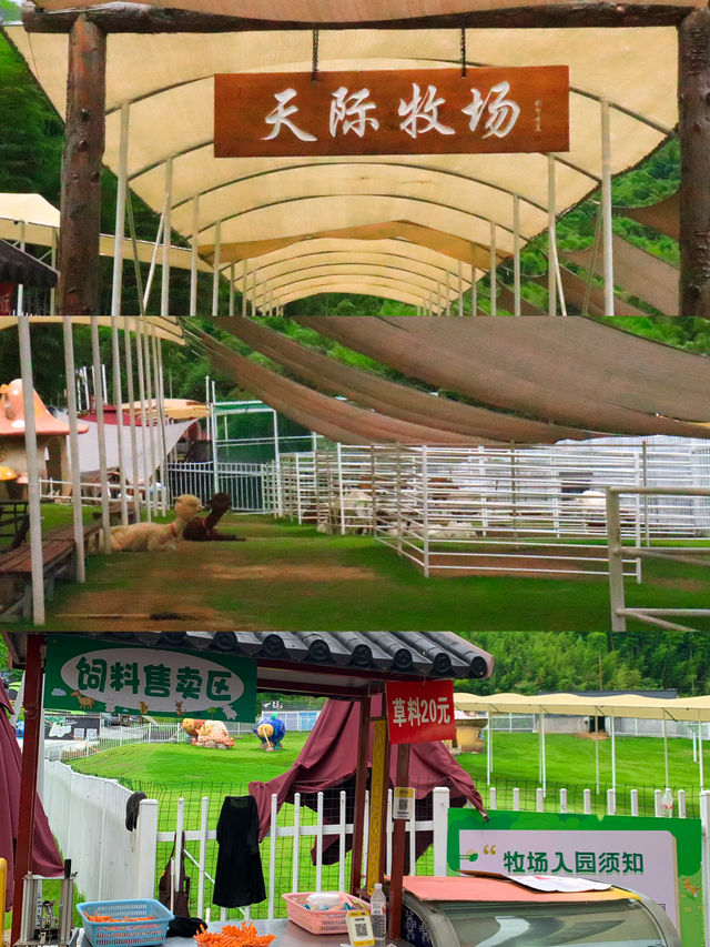 夏日玩水好去處 真的太適合避暑啦