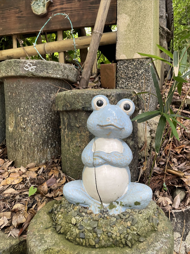 京都夏季苔綠之行