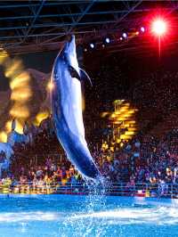 🌟 Qingdao's Top Family-Friendly Attractions Unveiled! 🎡🐠