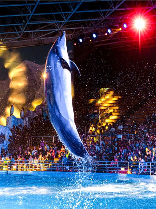 🌟 Qingdao's Top Family-Friendly Attractions Unveiled! 🎡🐠