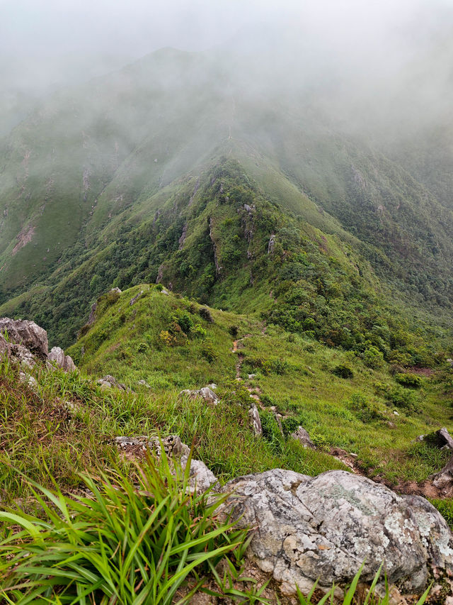 夏日徒步旅行目的地，感受山頂的風和陽光