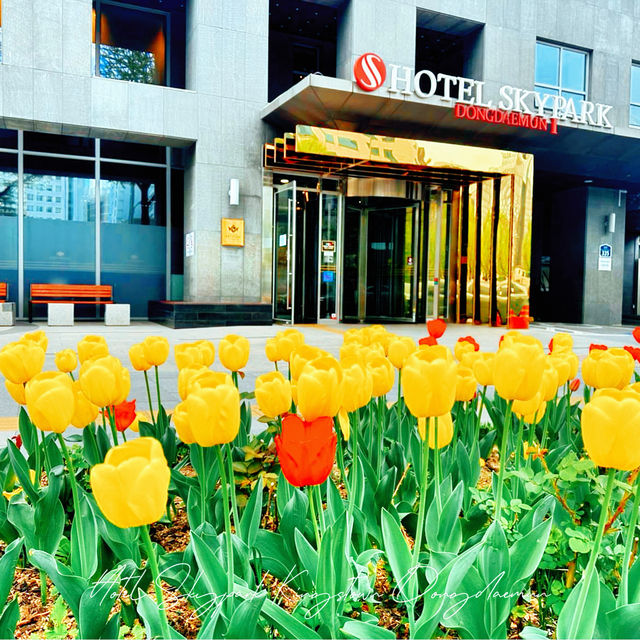首爾Hotel Skypark Kingstown Dongdaemun酒店：位置優勢，美食盛宴
