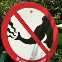瘋狂動物城～上海迪士尼樂園新園區