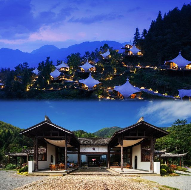 雲和梯田歸野雲海營地～海拔800米野奢度假！