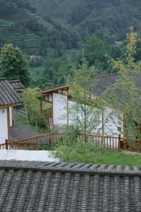 去雅安山里赴一場煙雨，尋一席靜謐，淋一身詩意