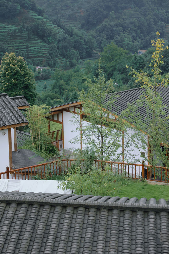 去雅安山里赴一場煙雨，尋一席靜謐，淋一身詩意
