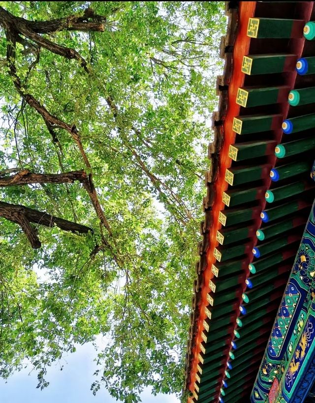 公主府博物館